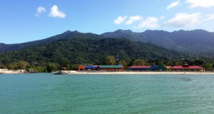 Banana Coast Signs Holland America Line For 11 Calls